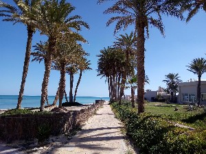 Hotel ZITA BEACH RESORT wakacje