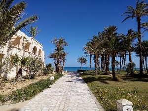 Hotel ZITA BEACH RESORT wakacje