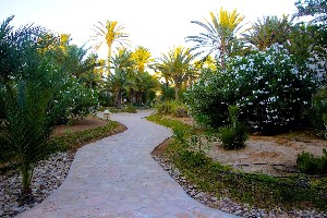 Hotel ZITA BEACH RESORT wakacje