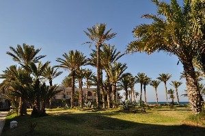 Hotel ZITA BEACH RESORT wakacje