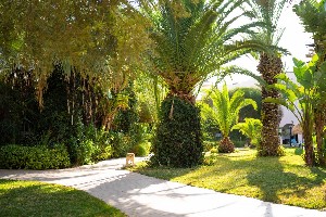 Hotel EDEN YASMINE RESORT wakacje