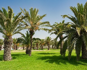 Hotel THE MIRAGE RESORT & SPA wakacje