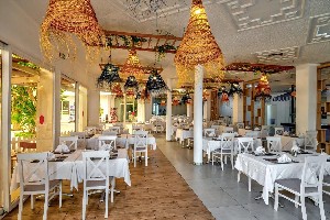 Hotel GOLDEN TULIP  PRESIDENT HAMMAMET (EX. COOEE CLUB PRESIDENT) wakacje