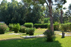 Hotel HAMMAMET BEACH wakacje