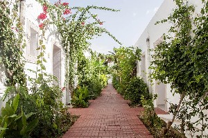 Hotel LE HAMMAMET wakacje
