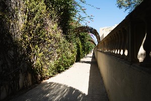 Hotel RIVIERA wakacje