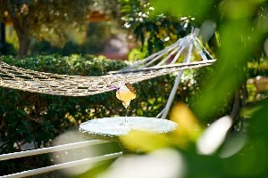 Hotel SUNPARK GARDEN wakacje