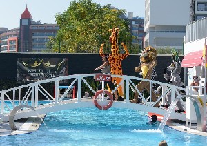 Hotel WHITE CITY RESORT wakacje