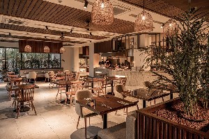 Hotel BALMY BEACH RESORT wakacje