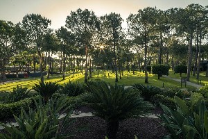 Hotel BALMY FORESTA wakacje