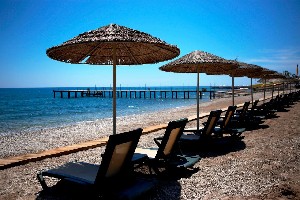 Hotel CHAMPION HOLIDAY VILLAGE wakacje