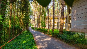 Hotel CHAMPION HOLIDAY VILLAGE wakacje