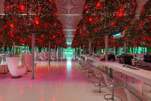 Hotel ADAM & EVE wakacje