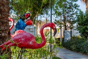 Hotel BELEK BEACH RESORT wakacje