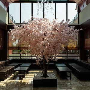 Hotel SIAM ELEGANCE SPA & RESORT wakacje