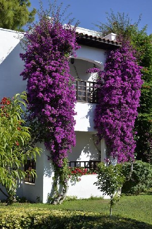 Hotel EMELDA SUN CLUB wakacje