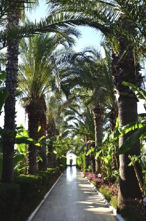 Hotel EMELDA SUN CLUB wakacje