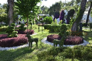 Hotel EMELDA SUN CLUB wakacje