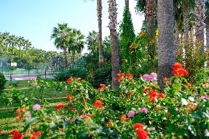 Hotel ROYAL ATLANTIS BEACH wakacje