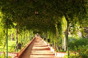 Hotel TURAN PRINCE wakacje