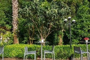 Hotel GRAND VIKING wakacje