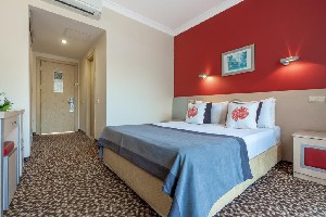 Hotel GRAND VIKING wakacje