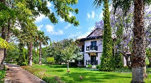 Hotel STARLIGHT RESORT wakacje