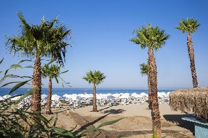 Hotel SULTAN OF DREAMS wakacje