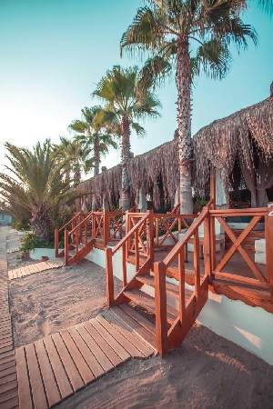 Hotel PALOMA OCEANA wakacje