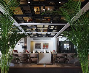 Hotel PALOMA PERISSIA wakacje