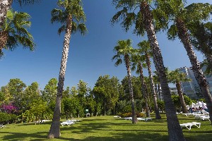 Hotel TERRACE BEACH wakacje