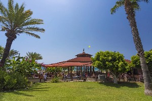 Hotel TERRACE BEACH wakacje