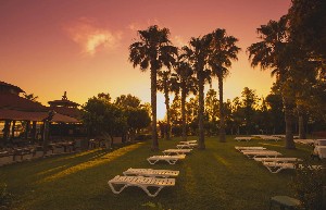 Hotel TERRACE BEACH wakacje