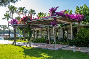 Hotel BARUT LARA COLLECTION wakacje