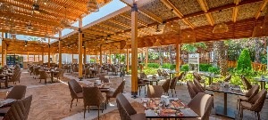 Hotel DELPHIN DIVA PREMIERE wakacje