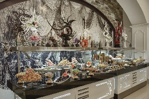 Hotel DELPHIN IMPERIAL wakacje