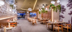 Hotel DELPHIN PALACE wakacje