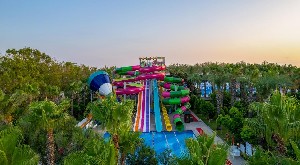 Hotel DELPHIN PALACE wakacje