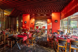 Hotel NIRVANA COSMOPOLITAN wakacje