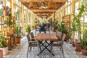 Hotel NIRVANA COSMOPOLITAN wakacje