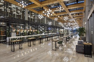 Hotel NIRVANA COSMOPOLITAN wakacje