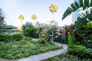 Hotel BORA BORA BUTIK wakacje