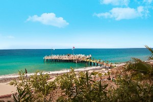 Hotel DELPHIN BOTANIK PLATINUM wakacje