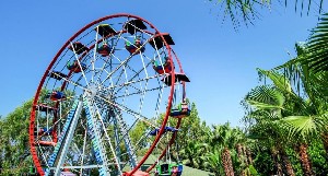 Hotel DELPHIN DELUXE wakacje