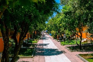 Hotel OZLEM GARDEN wakacje