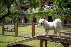 Hotel MARTI MYRA wakacje
