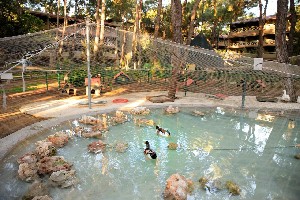 Hotel MARTI MYRA wakacje