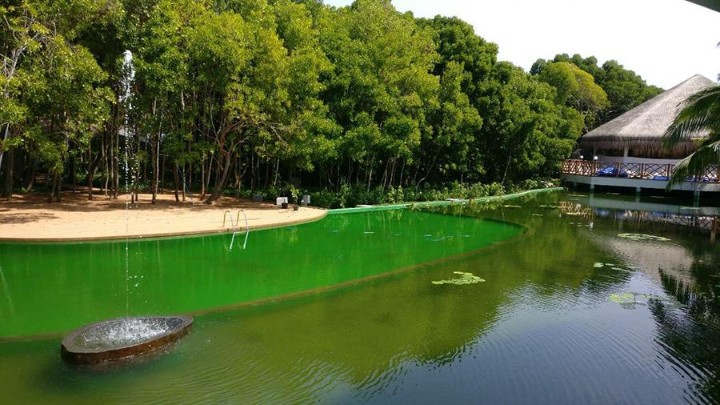 Hotel Dreamland - The Unique Sea & Lake Resort wakacje