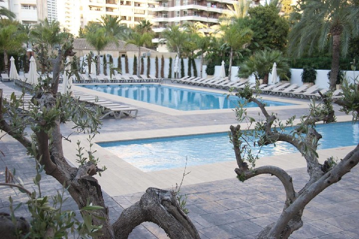 Hotel Flash Hotel (Adults Only) wakacje